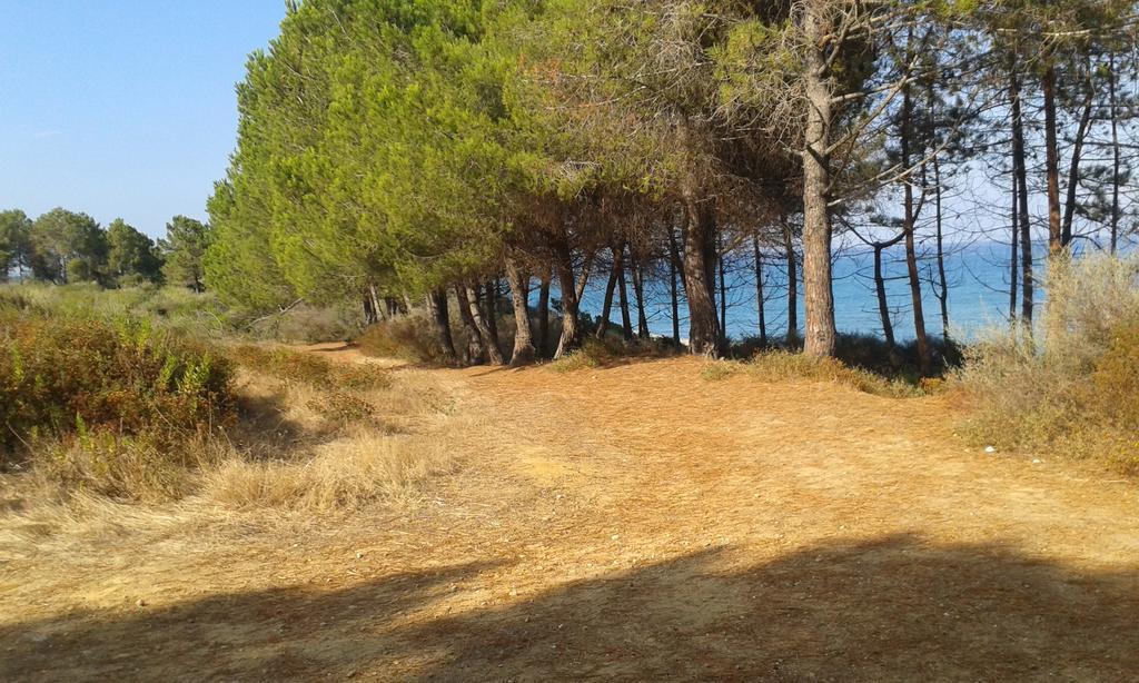 Appartement Les jardins de la mer - avec piscine - bord mer à Linguizzetta Extérieur photo