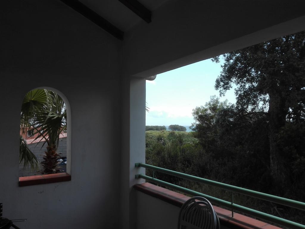 Appartement Les jardins de la mer - avec piscine - bord mer à Linguizzetta Extérieur photo